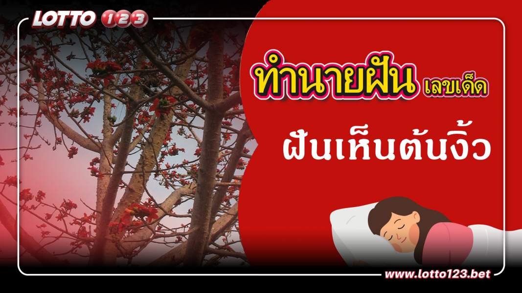 ฝันเห็นต้นงิ้ว ทำนายฝันเหตุการณ์ความฝันแบบนี้มีความหมายว่าอย่างไร พร้อมเลขมงคลนำโชค
